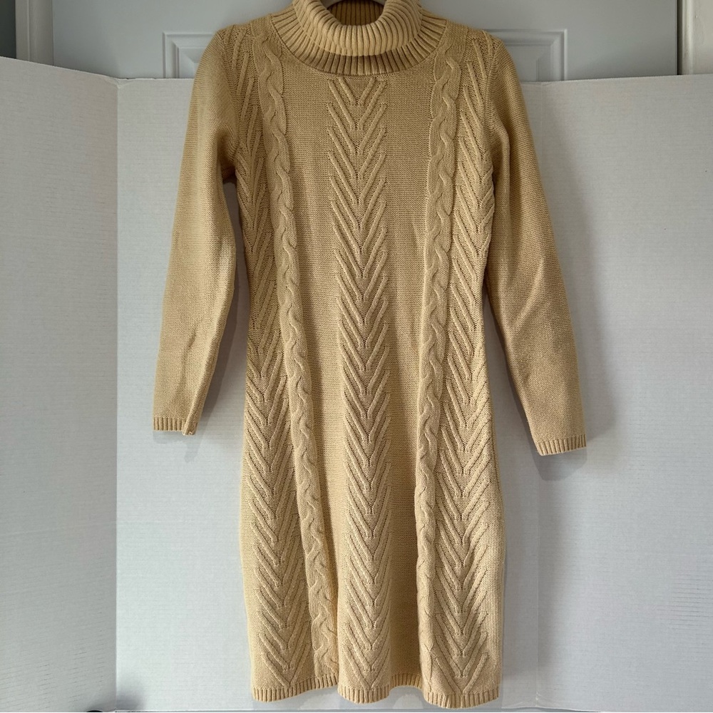 Sweater Dress